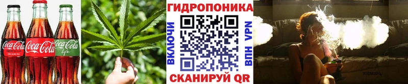 Cannafood конопля  Купить где  Далматово 