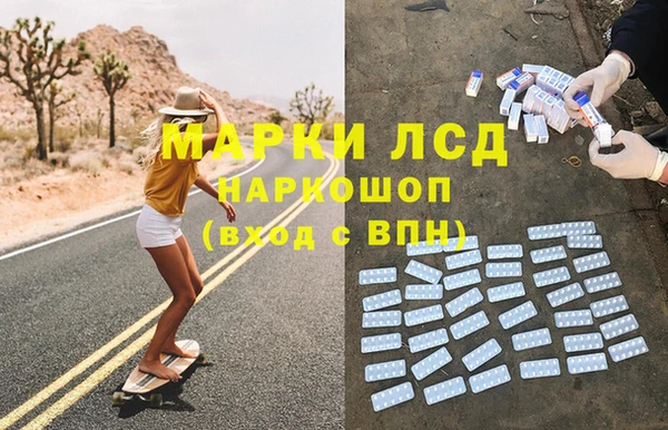 PSILOCYBIN Магас