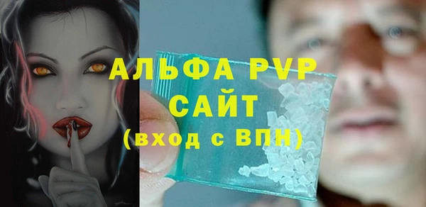 PSILOCYBIN Магас