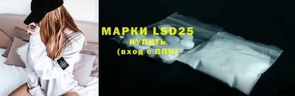 PSILOCYBIN Магас