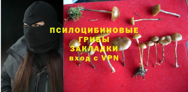 винт Майский