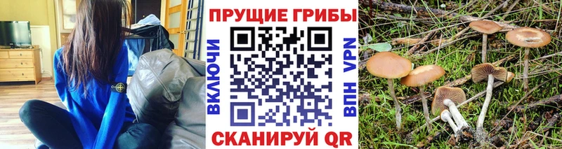 Купить где  Далматово  Псилоцибиновые грибы ЛСД 
